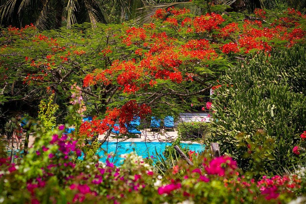 Adventure Travels Kenya Diani Sea Resort | All-Inclusive Beach Hotel in Kenya