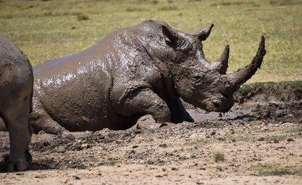 Adventure Travels Kenya 21 Days Kenya Explored