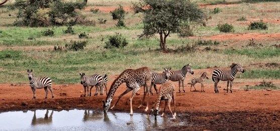 Adventure Travels Kenya 21 Days Kenya Explored