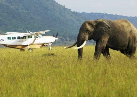 Adventure Travels Kenya 3 Days Amboseli Wildelife Safari