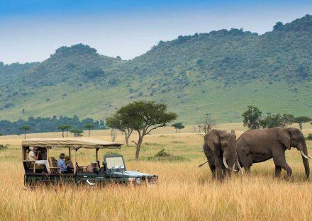 Adventure Travels Kenya 4 Days Masai Mara & Lake Nakuru