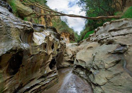 Adventure Travels Kenya 5 days Masai Mara Lake Nakuru Naivasha hells gate