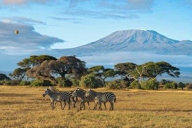 Adventure Travels Kenya 6 Days Masai Mara, Lake Nakuru & Amboseli