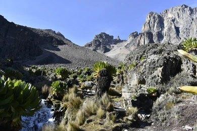 Adventure Travels Kenya, Luxury Tours 6 Days Mt Kenya Climbing: Sirimon – Naromoru Route