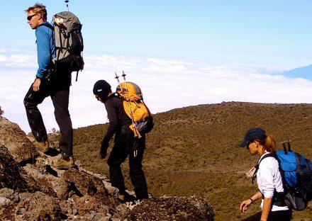 Adventure Travels Kenya, Luxury Tours  7 Days Mt Kilimanjaro Climbing: Marangu Route