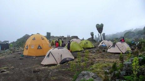 Adventure Travels Kenya, Luxury Tours  8 Days Kilimanjaro Climbing: Umbwe Route