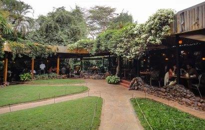 Adventure Travels Kenya The Carnivore Experience